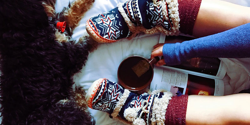 Dog, Tea and Slippers