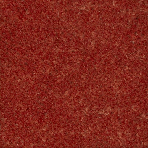 Red Carpet Remnants