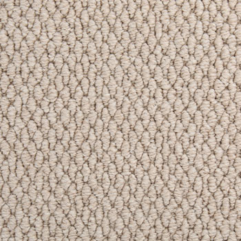 Designer Carpet Coastal View Carpets